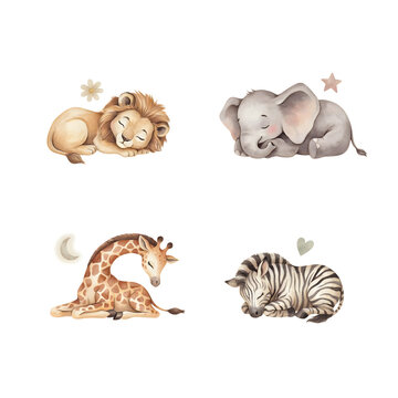 Animals including a lion, elephant, giraffe, and zebra are depicted in a sleeping watercolor style.