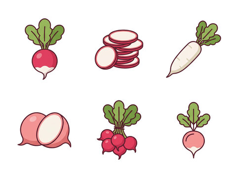 Fresh organic radishes shown as whole bulbs with green leafy tops and sliced pieces including diced cubes and thin strips presented in a flat vector style design isolated on a clean on transparent bac