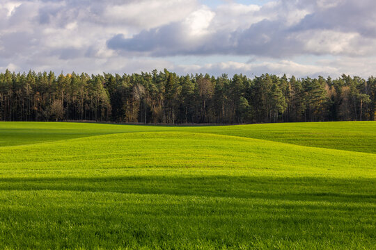 View of rolling green hills and a dense pine forest under a cloudy sky in Kowale Oleckie, Warmian-Masurian Voiv, Poland.