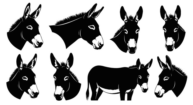 Minimalist donkey head and body silhouette set