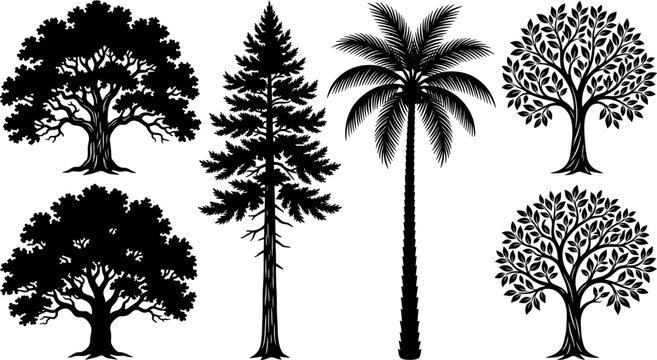 Detailed tree silhouettes bundle with oak pine palm and leafy deciduous species isolated on white background for landscape design