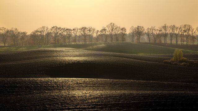 View of rolling hills and plowed fields under a golden sunset with a line of leafless trees on the horizon Kowale Oleckie, Warmian-Masurian Voiv, Poland.