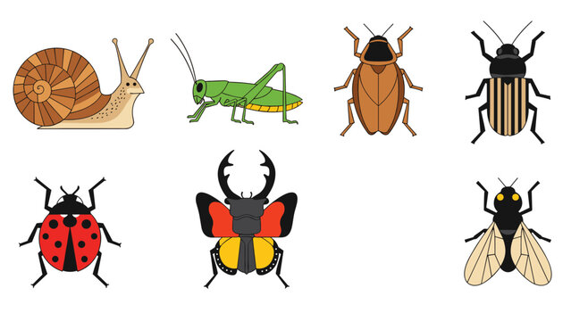 Diverse collection of common insects, featuring a snail, grasshopper, cockroach, various beetles, ladybug, and fly, representing backyard wildlife.
