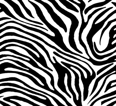 zebra animal skin seamless pattern, abstract stripes safari texture textie 