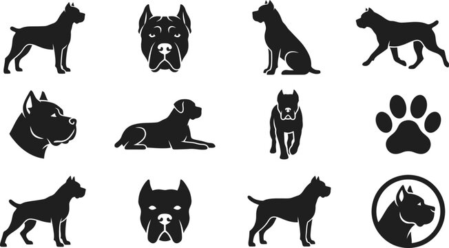 Set of vector icons featuring silhouettes of Cane Corso dogs in various poses and a paw print.