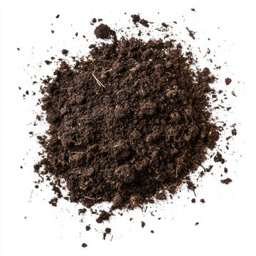 A detailed view of rich, dark soil, perfect for gardening and planting, showcasing its texture and organic matter.