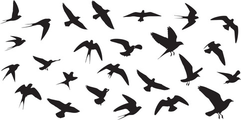 Fototapeta premium Black bird silhouettes in flight against white background black birds flying birds in flight
