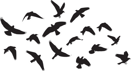 Obraz premium Black bird silhouettes in flight scattered across white background black birds flying