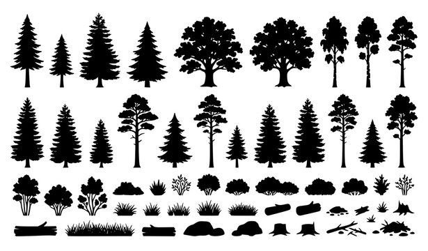 Tree and Forest Silhouette Collection Isolated on White Background