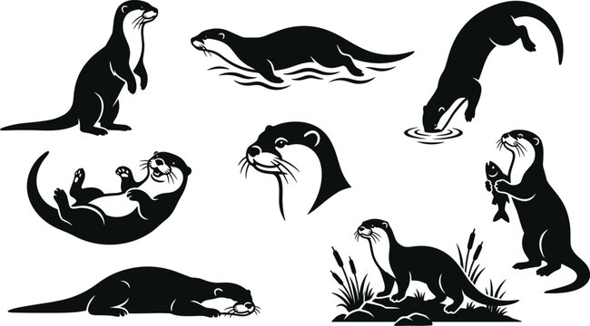 Otter vector silhouette collection featuring semi-aquatic wildlife animals swimming playing standing and eating fish