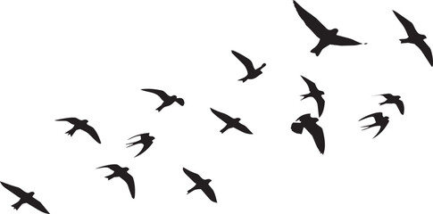 Fototapeta premium Black silhouette of a flock of birds flying in a clear sky flying birds bird flock birds in flight
