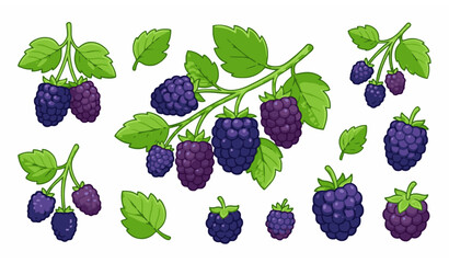 Cute cartoon blue mulberry fruit collection with leaves and berry clusters vector illustration isolated on white background © MstLutfa
