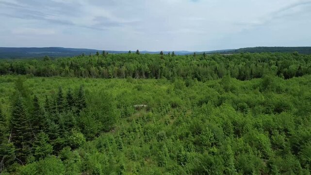 Flying over a deforested area