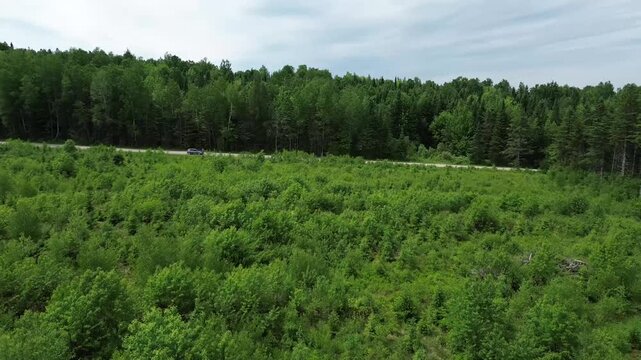 Flying over a deforested area