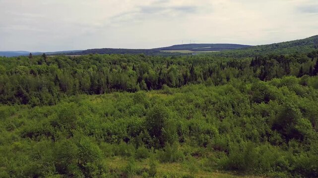 Flying over a deforested area