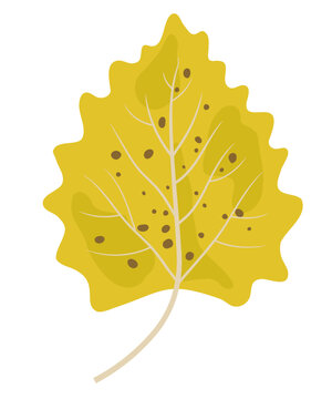 Heart-shaped yellow poplar leaf vector, hand-painted textured autumn linden foliage