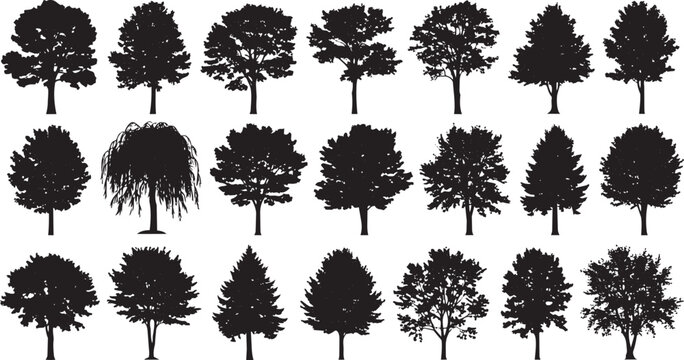 Black tree silhouettes on white background in three rows black silhouettes trees maple pine