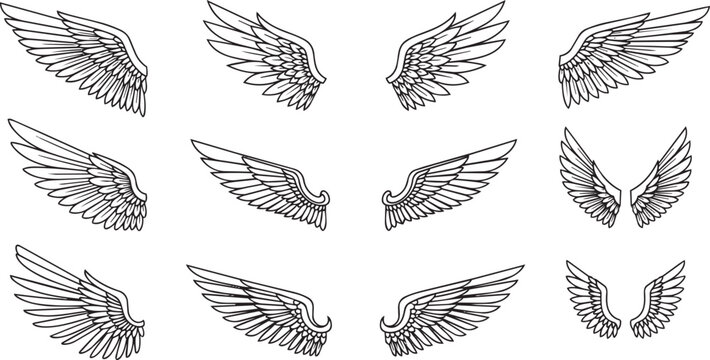 Twelve black abstract bird wing silhouettes arranged in a grid pattern black silhouettes