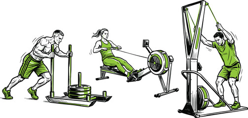 Fitness Athletes Training with Gym Equipment Vector Set Featuring Weighted Sled Push Rowing Machine and Ski Ergometer Workouts for Cross Training Designs © SHILA
