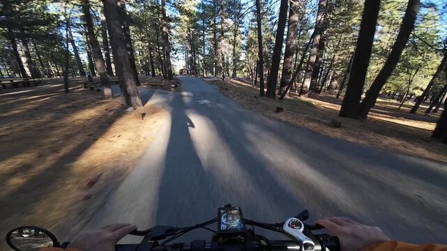 Mountain Bike POV Shot of McGill Trail Downhill McGill Camp 4 Camp Los Padres Forest California USA