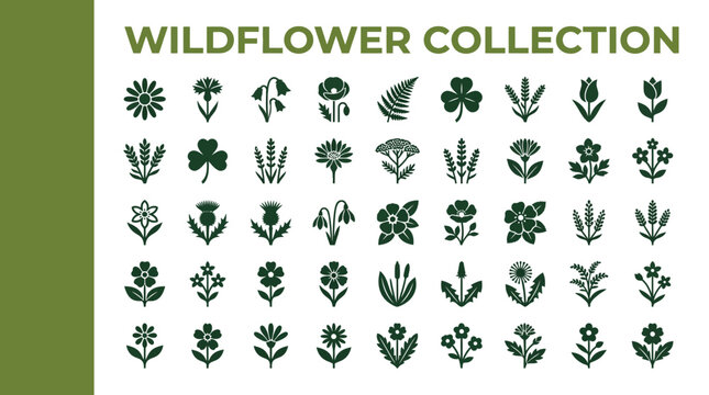 A Diverse Collection of Wildflower Icons Representing Nature and Floral Beauty