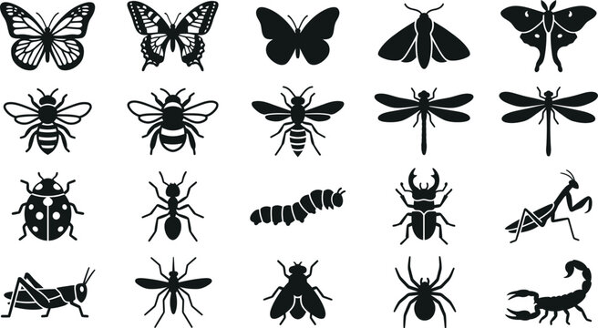Collection of various insect species silhouettes and vector icons.