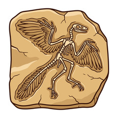 A detailed illustration of an ancient winged dinosaur fossil slab © agil