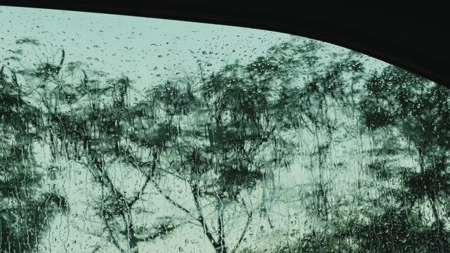 Cinematic Static shot through a rain covered car window with water droplets and streaks distorting trees swaying in the wind, capturing a moody monsoon atmosphere during wet weather.