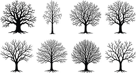 Obraz premium Bare winter tree silhouettes set isolated on white background featuring detailed leafless branches and trunks