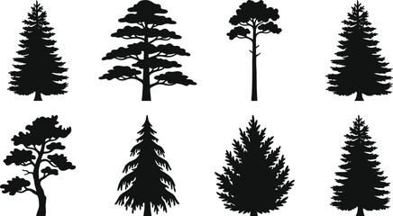 Fototapeta premium Pine and fir tree silhouettes set isolated on white background for nature and forest design projects