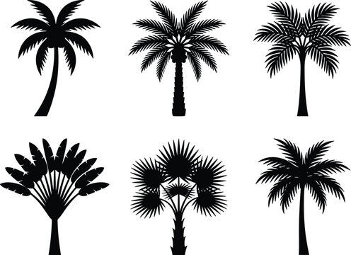 Tropical palm tree silhouettes set isolated on white background for summer beach and travel resort designs