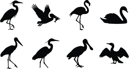 Obraz premium Water bird silhouettes set isolated on white background featuring heron flamingo pelican and swan graphic shapes