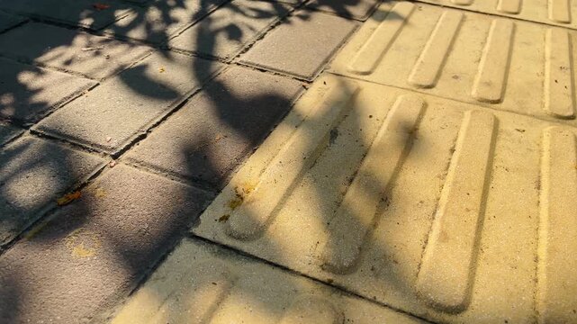 Leaf shadows moving across tactile paving for visually impaired pedestrians, abstract urban pattern with natural sunlight and outdoor walkway texture.