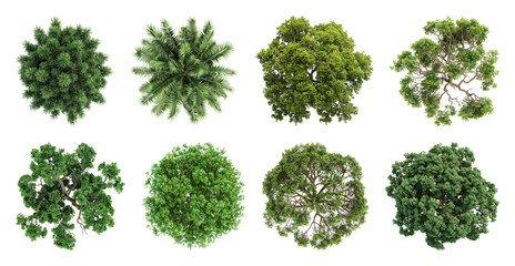 Obraz premium PNG Top view diverse tree canopy on transparent background