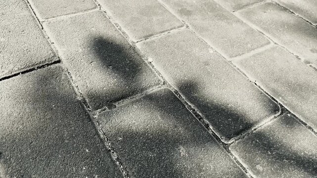 Leaf shadows swaying on interlocking brick pavement, abstract pattern created by sunlight and wind, natural outdoor texture with minimal urban aesthetic.
