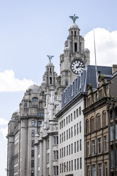 View of the historic Royal Liver Building with its clock towers and Liver Bird sculptures under a clear sky in Liverpool, England, United Kingdom.