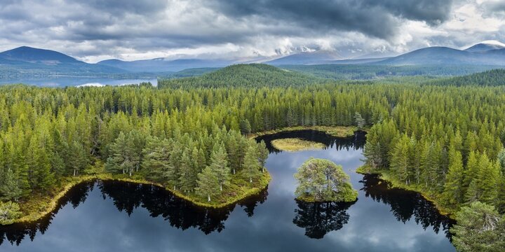 Overview of Loch Morlich, Glenmore Forest Park, Cairngorms National Park, Highlands, Scotland, Great Britain