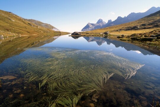 Lake Scheidseen, Galtuer, Tyrol, Austria, Europe