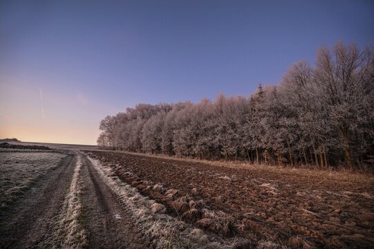 Evening sky with hoarfrost on the fields and forests, Eckental, Middle Franconia, Bavaria, Germany