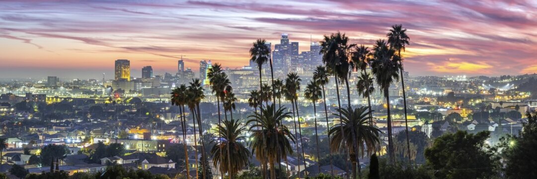 Los Angeles skyline with palm trees and downtown at sunset panorama in California in Los Angeles, USA