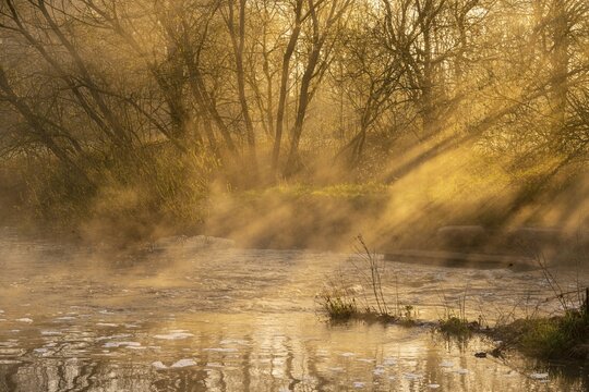 Fish ladder at sunrise with light rays on the Hunte near the weir in B&uuml;hren, Colnrade, B&uuml;hren, Lower Saxony, Germany
