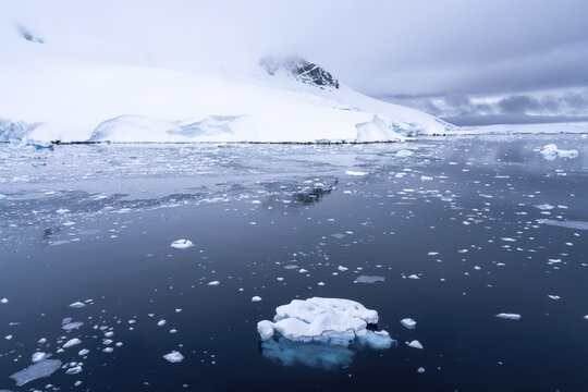 Drift ice and small iceberg on calm water surface, snow-covered mountain slopes under overcast sky in the background, Wilhelmina Bay, Antarctic Peninsula, Antarctica