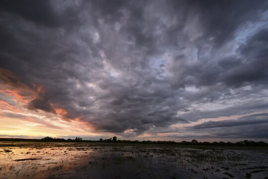 Dramatic sunset over flooded wetlands with wind turbines in the background and bright shades of orange in the sky, D&uuml;mmer nature park Park, Lower Saxony, Germany
