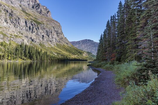 240831_124 Pine forest and rugged mountains along the shoreline of Lake Josephine in Glacier National Park, Montana, USA
