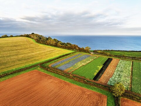 Colours of autumn Fields and Farms over Sheldon from a drone, Torbay, Devon, England, United Kingdom