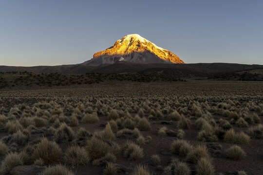 Nevado Sajama at sunset, snow-capped volcano, puna vegetation, Sajama National Park, Curahuara de Carangas, Departamento Oruro, Bolivia