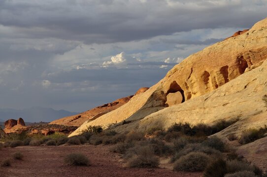 Landscape with yellow and red rocks and sparse vegetation in evening light, Valley of Fire State Park, Nevada, USA