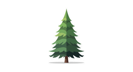 Fototapeta premium Stylized evergreen pine tree for nature design