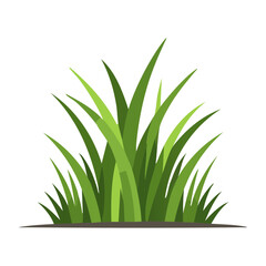 Fototapeta premium Snake plant flat design vector illustration
