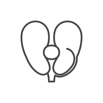 A simple black line icon of a human prostate gland
